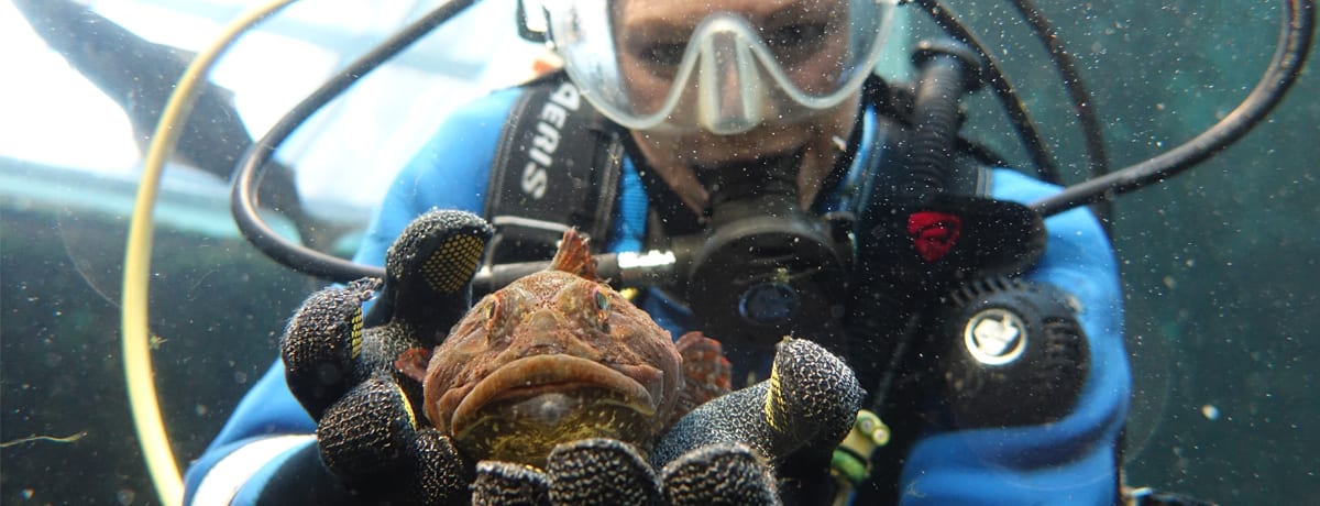 Macduff Marine Aquarium