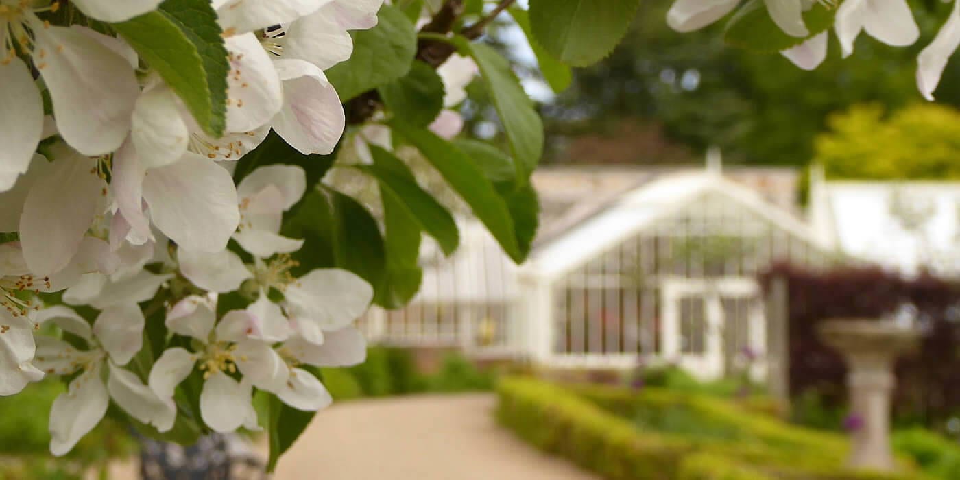 Cambo Gardens