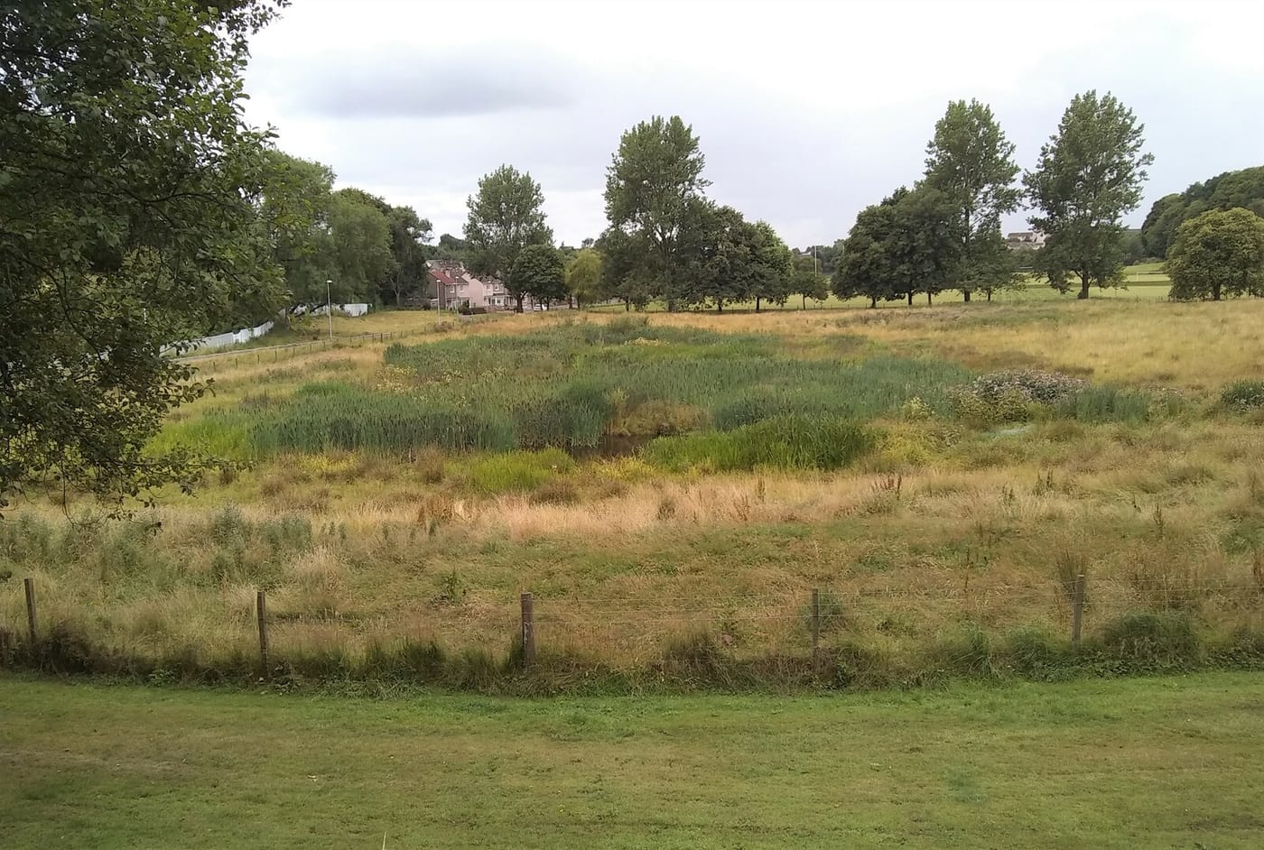 Colquhoun Park