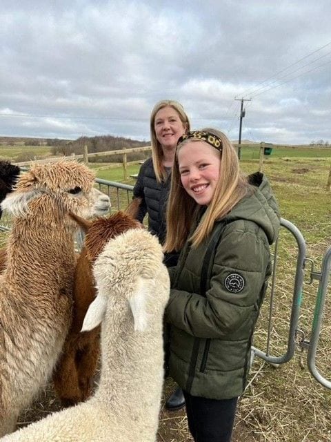 Wellwood Alpacas