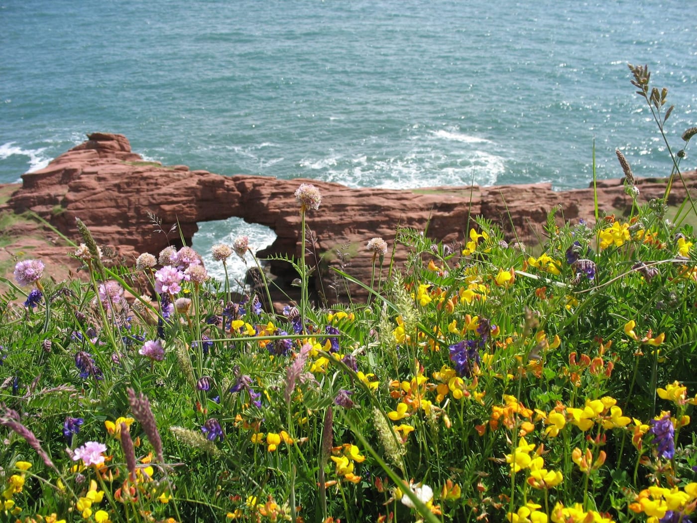Arbroath Cliffs & Lighthouse Walk