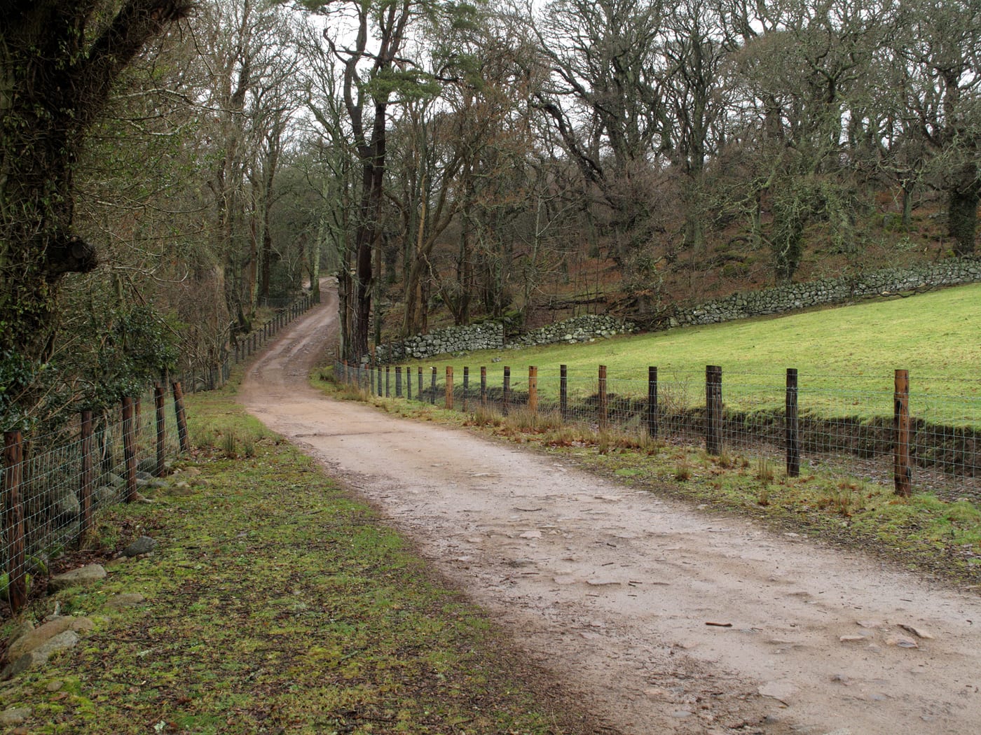 Bainloch Deer Park