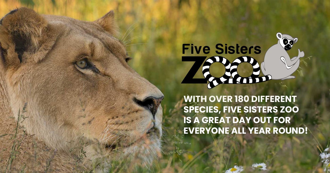 Five Sisters Zoo