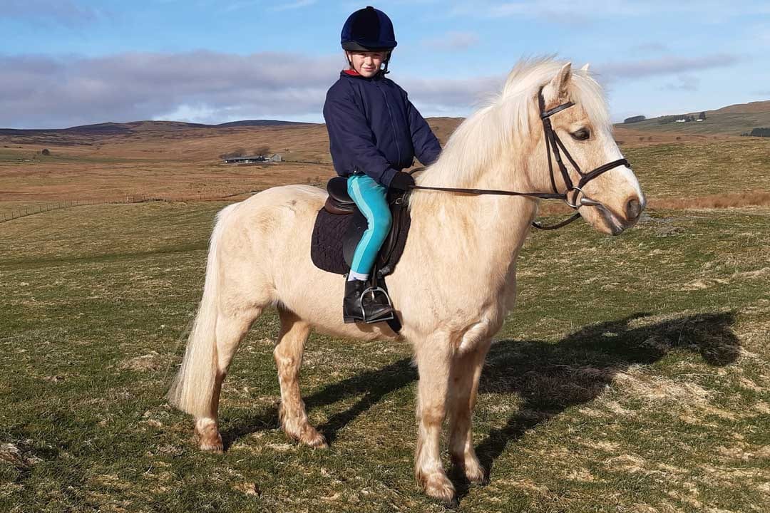 Kilmacolm Farm Tours
