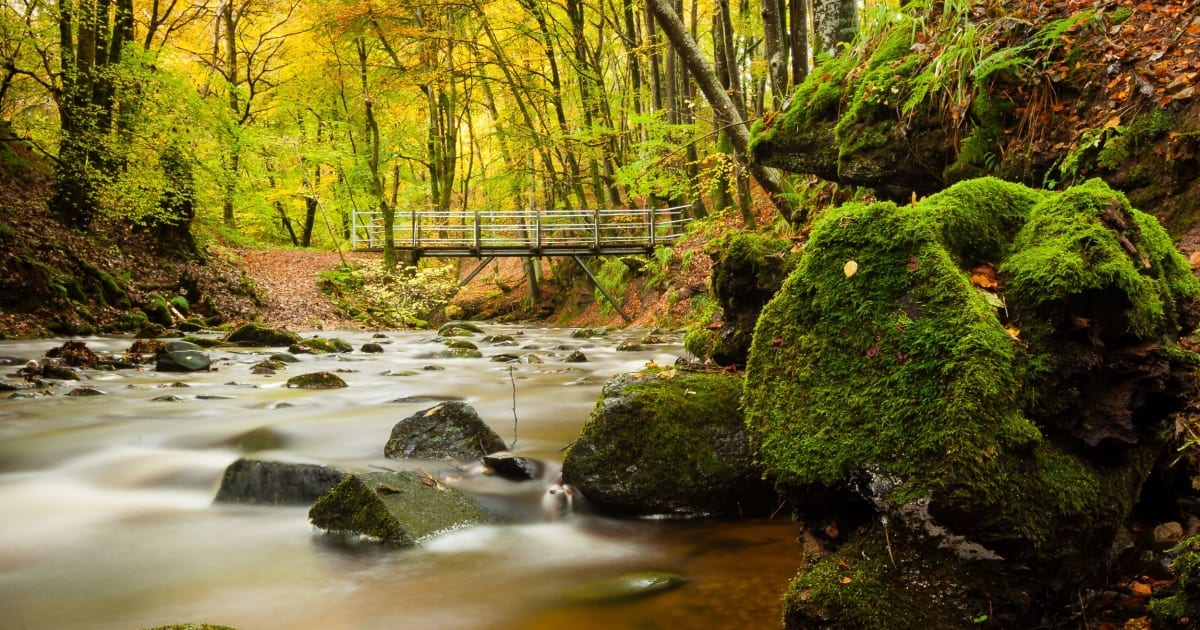 Cateran Trail
