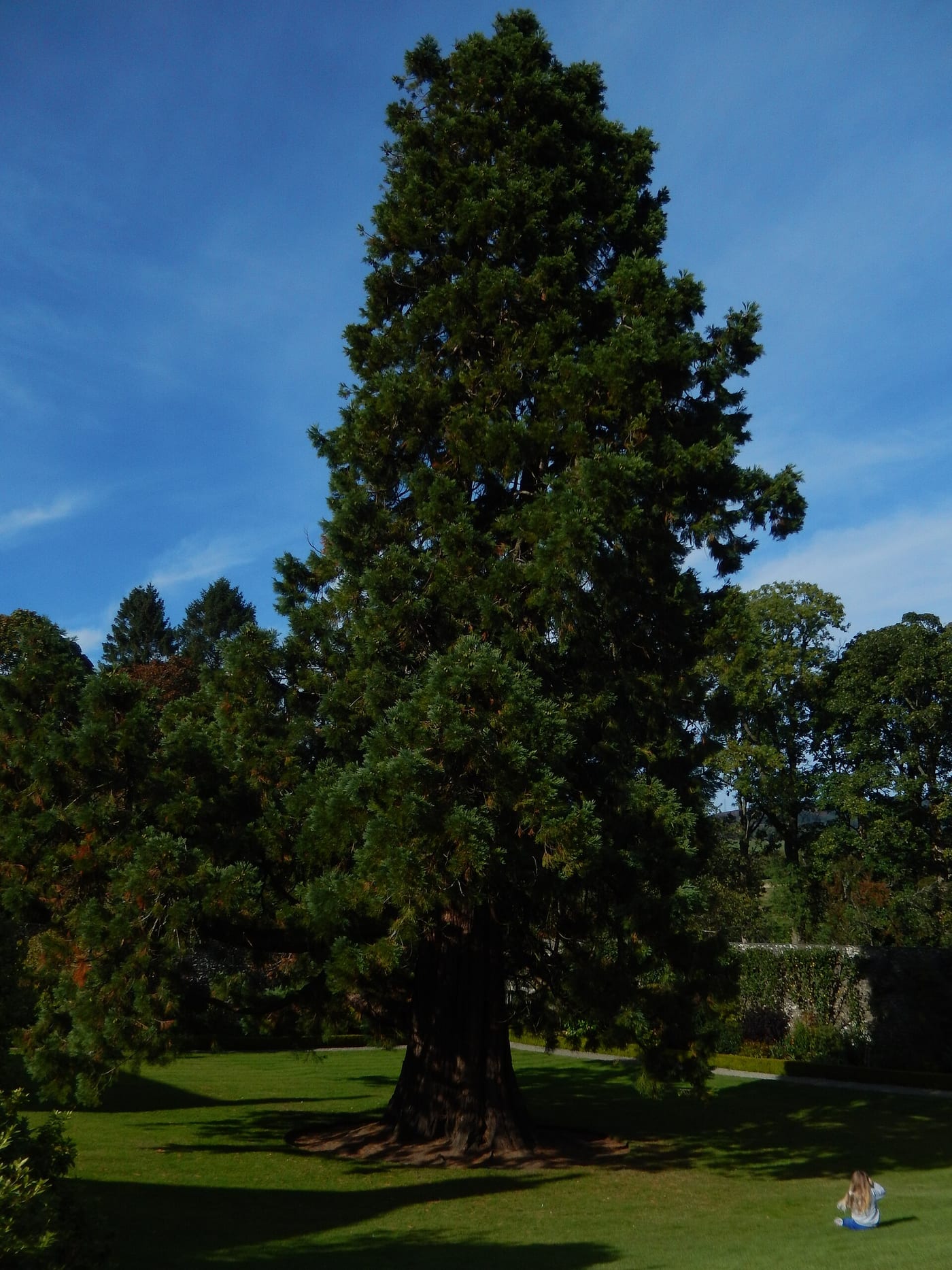 Geilston Garden