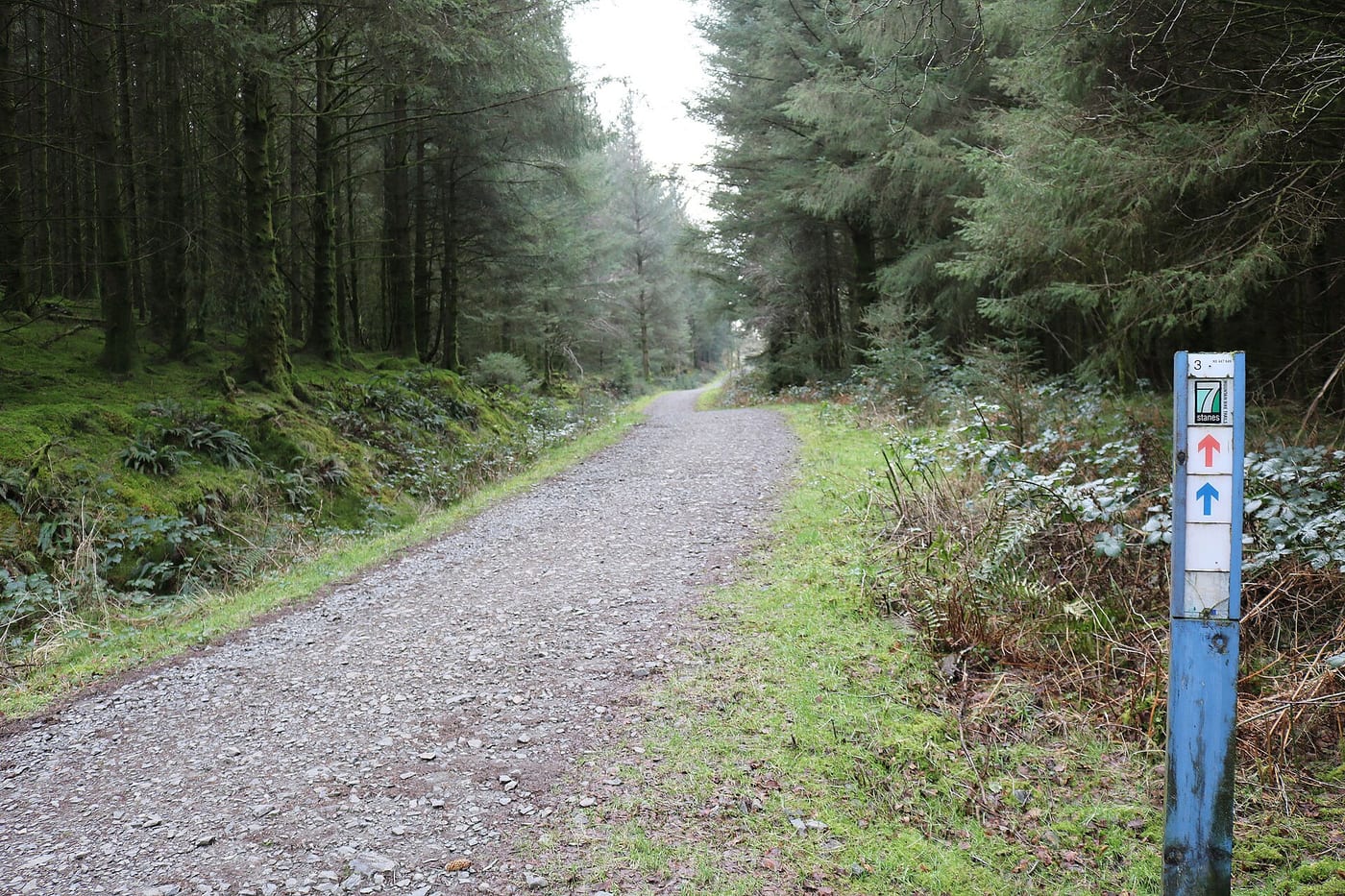 7stanes Kirroughtree Forest