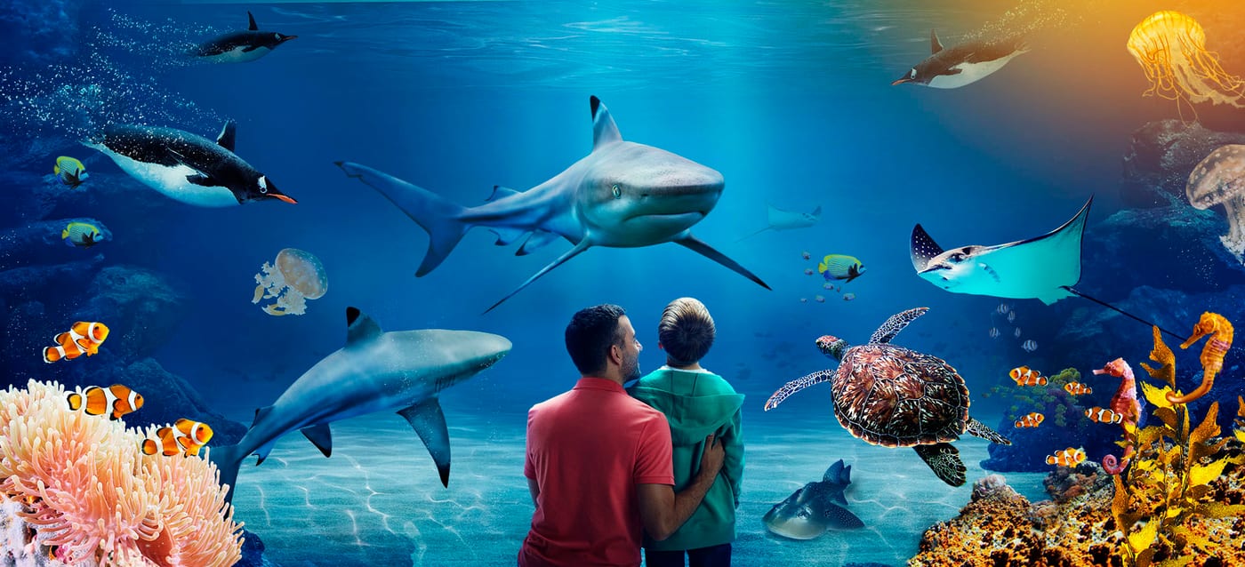 SEA LIFE Loch Lomond Aquarium