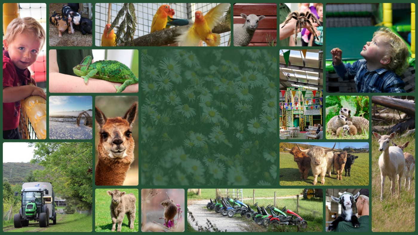 Wynford Farm Park