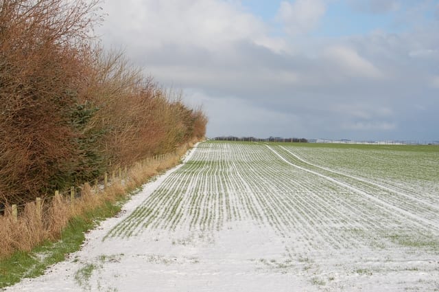 Aikenshill Farm