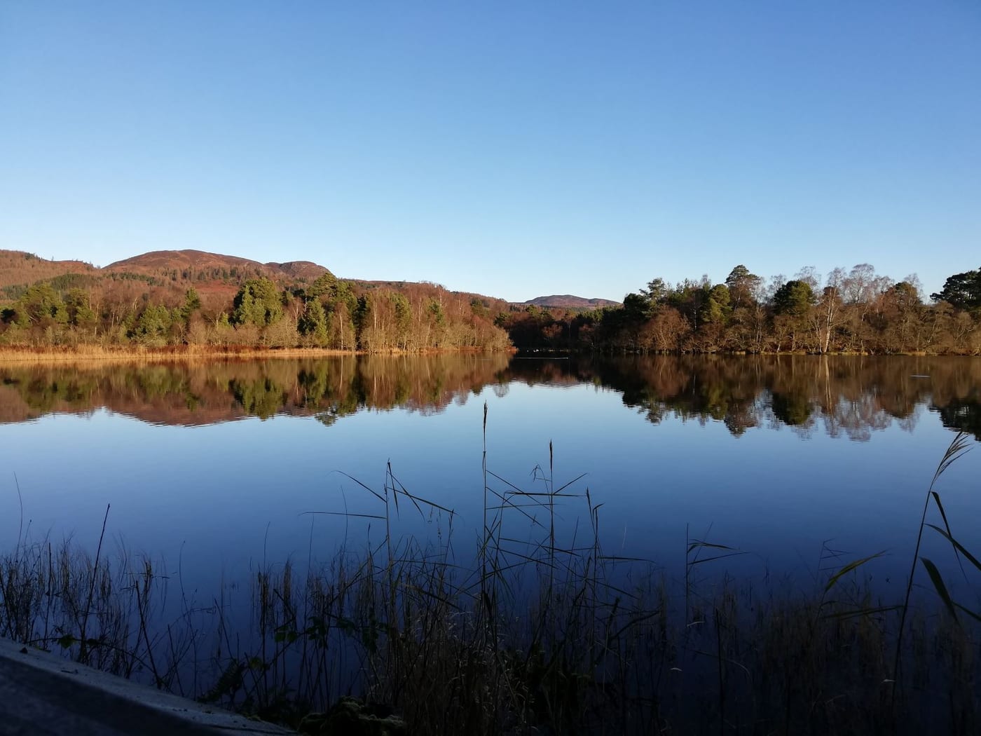 Loch of the Lowes Wildlife Centre