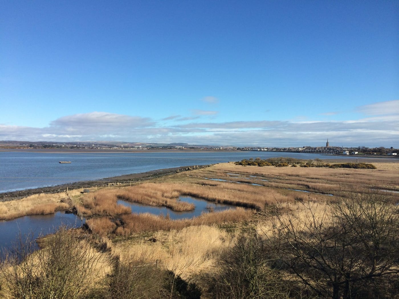 Montrose Basin Visitor Centre