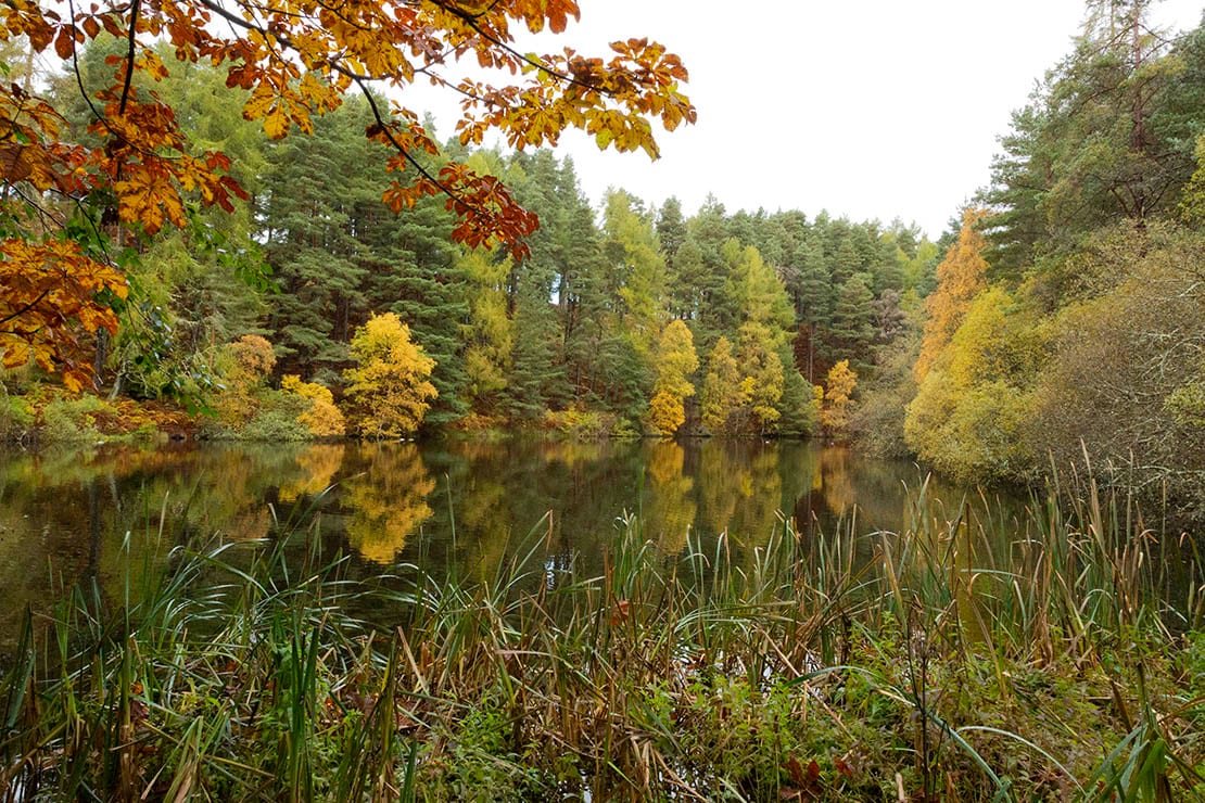 Millbuies Country Park