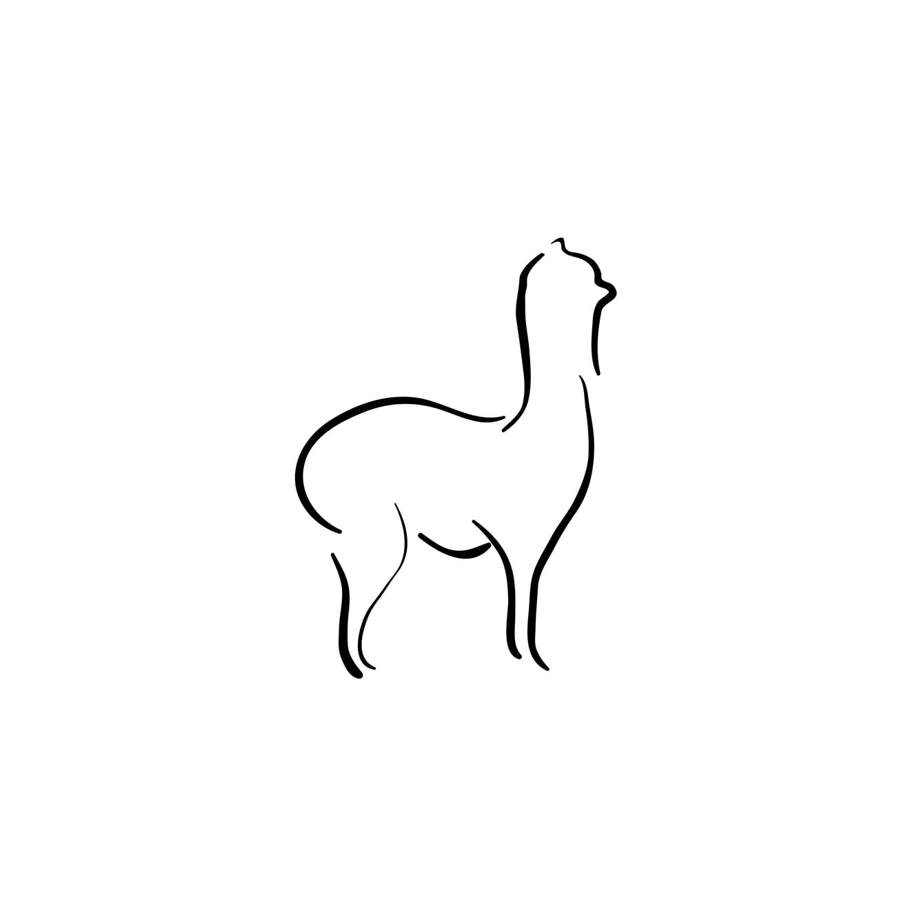 Bowbridge Alpacas Scotland
