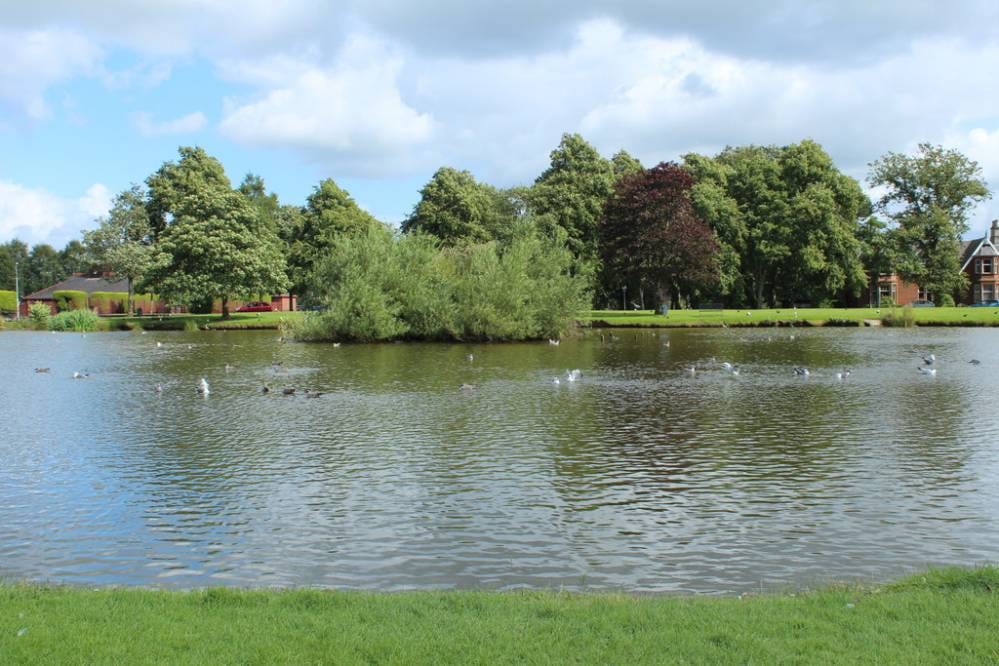 Kay Park