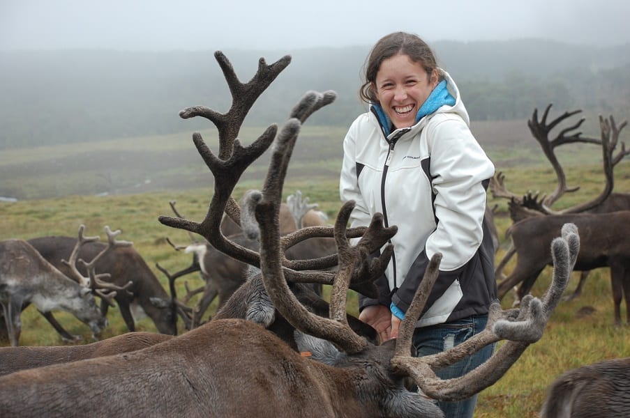 Cairngorm Herd