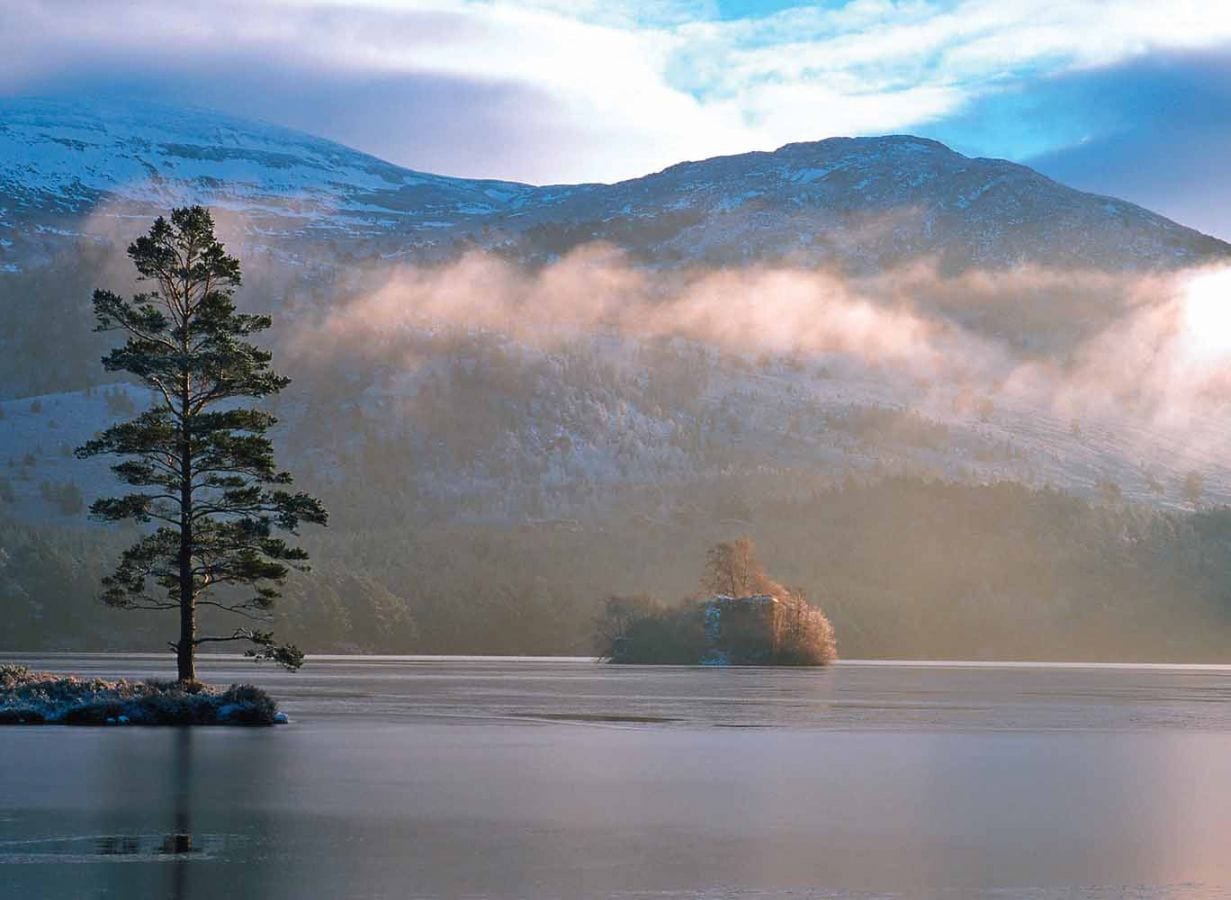 Rothiemurchus