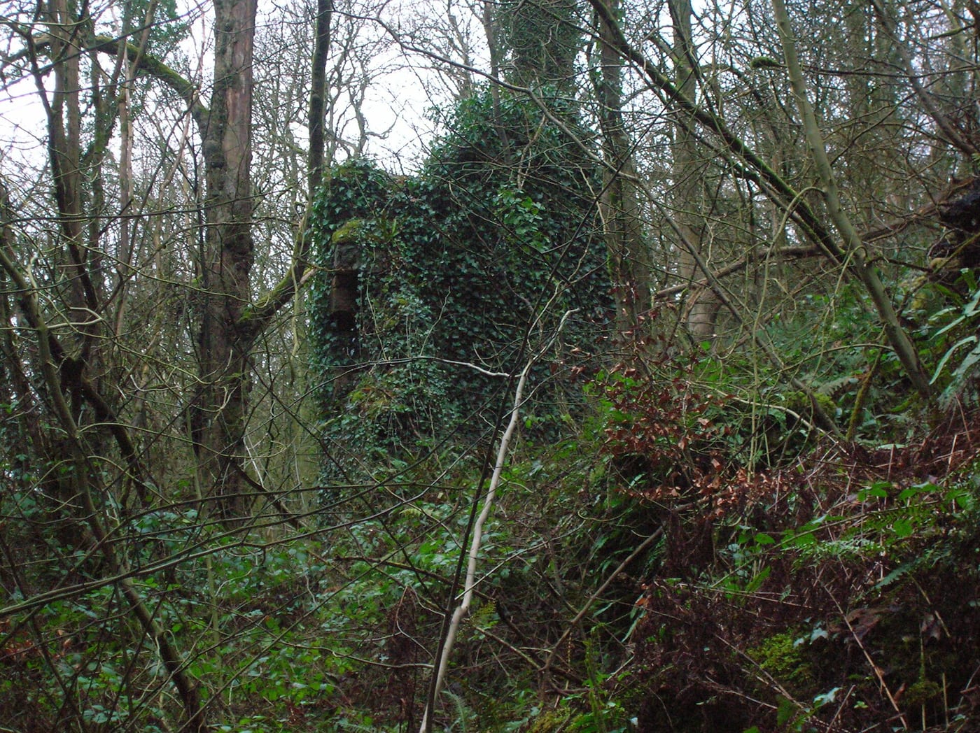 Lynn Glen Dalry