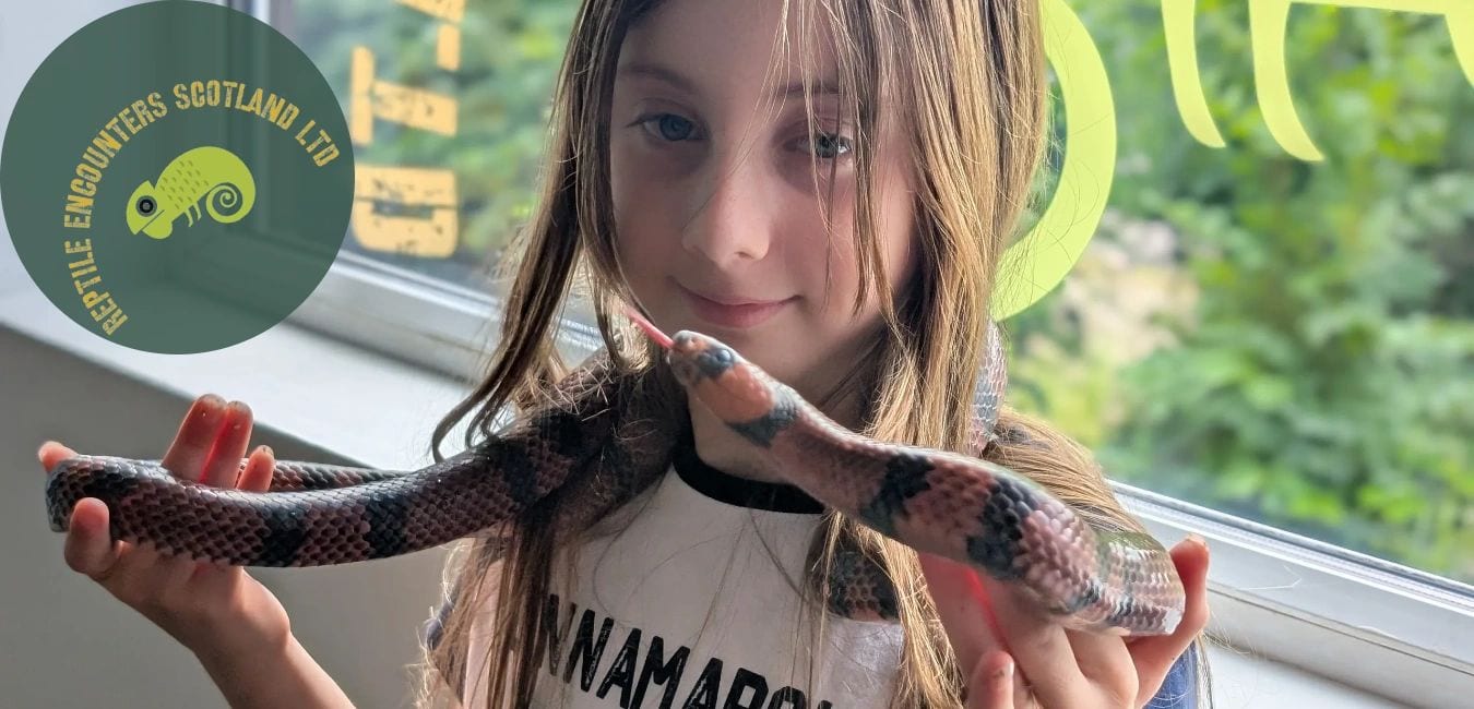 Reptile Encounters Scotland