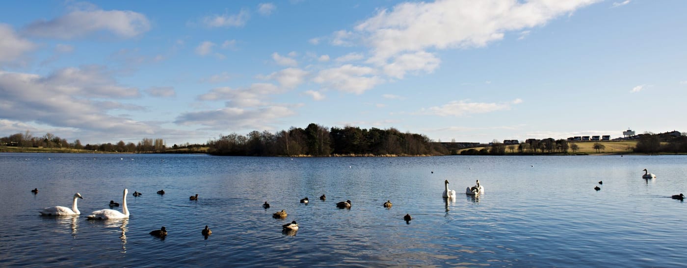 Seven Lochs Wetland Park