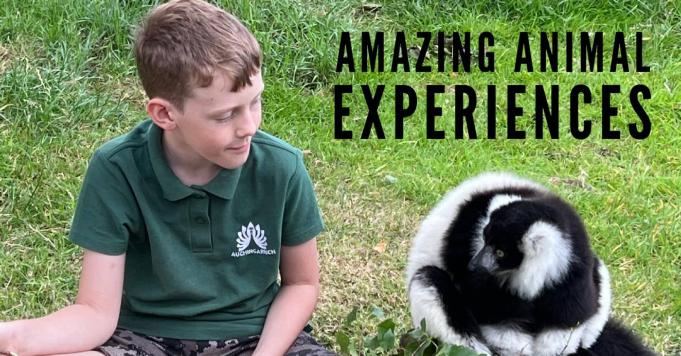 Auchingarrich Wildlife Centre