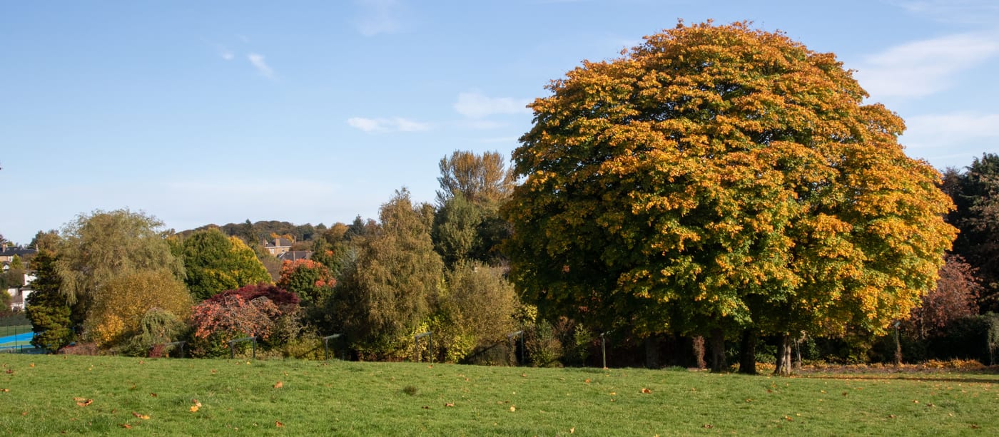 Newlands Park